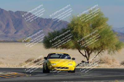 media/Nov-23-2024-Nasa (Sat) [[59fad93144]]/HPDE 1-2/Session 3 Turn 4 Tree of Life/